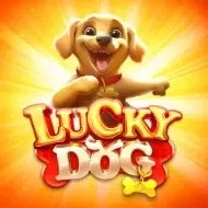 Lucky Dog screenshot