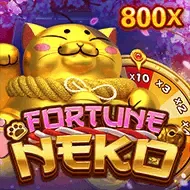 Fortune NekoJDB